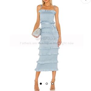 V. Chapman Lily Midi Dress in Sage Green